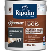 Peinture Protection eXtreme bois 2,5L gris anthracite