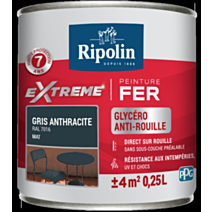 Peinture Extrême fer 0,25L mat gris anthracite RIPOLIN