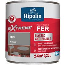 Peinture Extrême fer 0,25L mat gris métal RIPOLIN