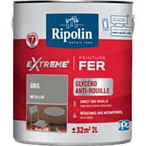 Peinture Extrême fer 2L mat gris métal RIPOLIN