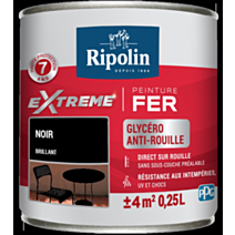Peinture Extrême fer 0,25L brillant noir RIPOLIN