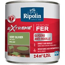 Peinture Extrême fer 0,25L brillant vert olivier RIPOLIN