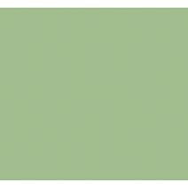 Peinture esprit-déco vert gaspesie satin 2,5L - RIPOLIN