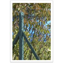 Piquet T pour clôture grillage souple H1,75m Gris - DIRICKX