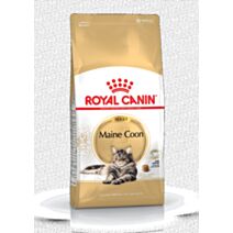 Croquette chat Maine Coon adult 10kg - ROYAL CANIN
