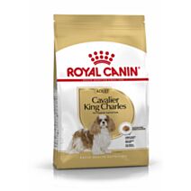 Croquette Chien Cavalier King Charles Adult 1,5kg - ROYAL CANIN