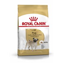 Croquette Chien Pug Adult 1,5kg - ROYAL CANIN