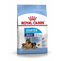 Croquette Chien Starter Mother & Babydog Maxi 4kg - ROYAL CANIN