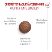 Croquettes chat Ageing 11+ 2kg - ROYAL CANIN