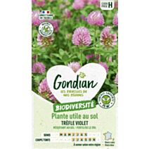 Plantes utiles au sol - Trèfle Violet - GONDIAN