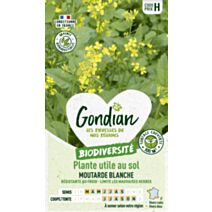 Plantes utiles au sol - Moutarde Blanche - GONDIAN