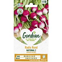 Radis rond National 2 16cm rose carmin blanc - GRAINES GONDIAN