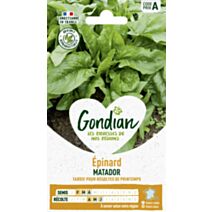 Epinard Matador - GONDIAN