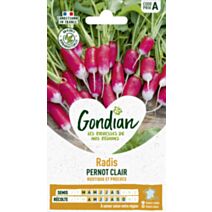 Radis Pernot Clair - GONDIAN