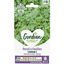 Persil à feuilles Commun 2 - GONDIAN
