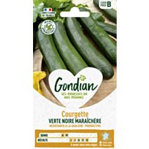 Courgette verte noire maraîchère 40cm - GRAINES GONDIAN