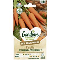 Semences Carotte Colmar à cœur rouge 2 - GRAINES GONDIAN