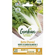 Bette (Poirée) verte à carde blanche 3 9cmx0,5cmx16cm - GRAINES GONDIAN