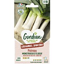 Poireau Monstrueux d'Elbeuf - GONDIAN