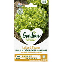 Laitue Feuille de Chêne Blonde à Graine noire - GONDIAN