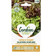 Laitue en Mélange - GONDIAN