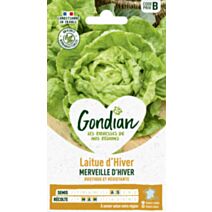 Laitue Merveille d'Hiver - GONDIAN