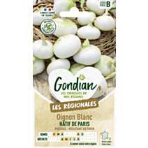 Oignon Hâtif de Paris - GONDIAN