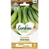 Cornichon Fin de Meaux - GONDIAN