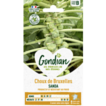 Choux de Bruxelles Sanda - GONDIAN