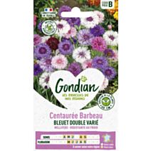 Centaurée Bleuet Double Variée - GONDIAN
