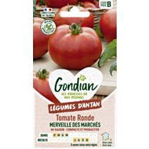 Tomate Merveille des Marchés - GONDIAN