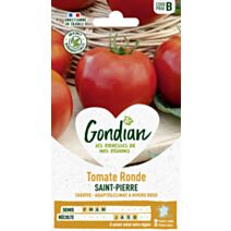 Tomate Saint-Pierre - GONDIAN