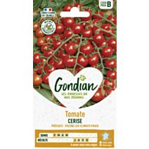 Tomate Cerise - GONDIAN