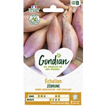 Echalion Zébrune - GONDIAN