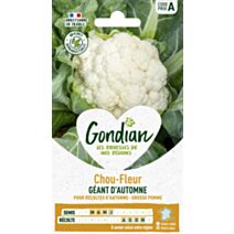 Chou-Fleur Géant d'Automne - GONDIAN
