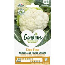 Chou-Fleur Merveille des 4 Saisons - GONDIAN