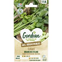 Céleri Branche d'Elne - GONDIAN