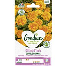 Œillet d'Inde Petite Orange - GONDIAN