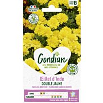 Œillet d'Inde Petite Yellow - GONDIAN
