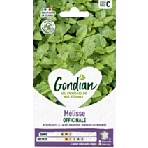 Mélisse Officinale - GONDIAN