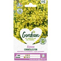 Alysse Corbeille d'Or - GONDIAN