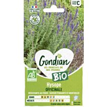 Hysope Officinale Bio - GONDIAN