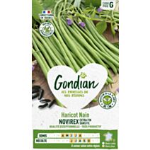 Haricot Novirex - GONDIAN