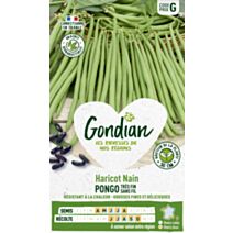 Haricot Pongo - GONDIAN