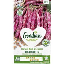 Haricot Big Borlotto - GONDIAN
