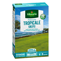 Les Tropicales Kikuyu Bord de Mer Boite 500gr - VILMORIN