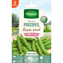 Graines Pois Nain à Grain Rond Précovil 5m - VILMORIN