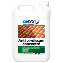 Anti verdissure concentre pro 5l