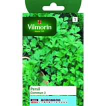 Graines Persil Commun 2 - VILMORIN