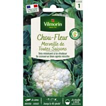 Graines Chou Fleur Merveille des 4 Saisons - VILMORIN